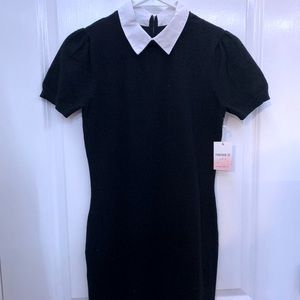 Contrast Collar Fitted Sweater Dress
